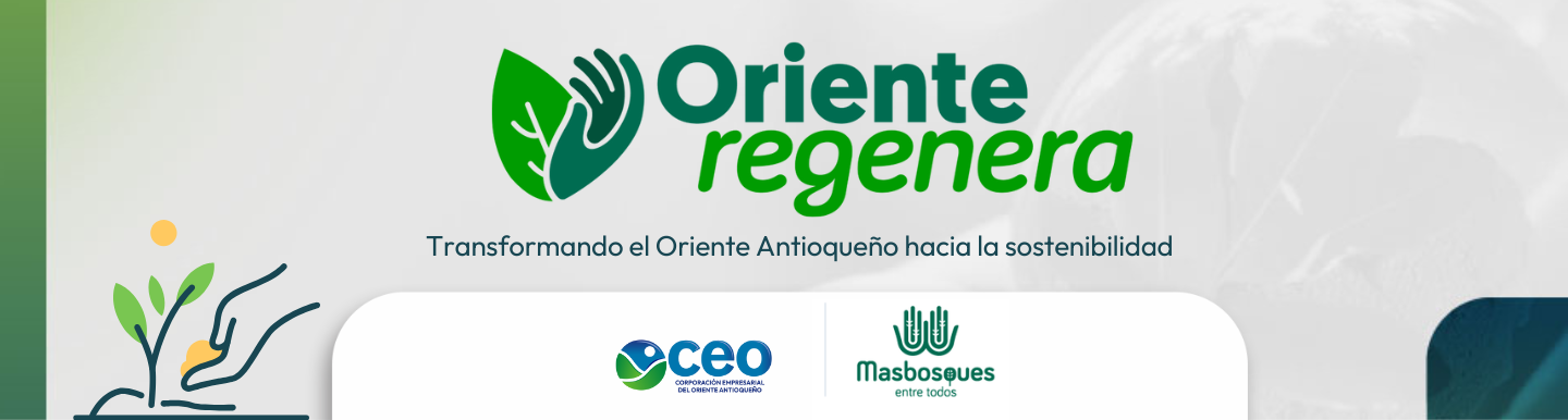 Oriente Regenera - foto 1